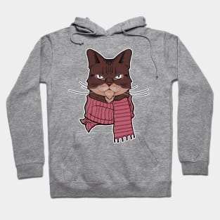 Stoic Cat Hoodie